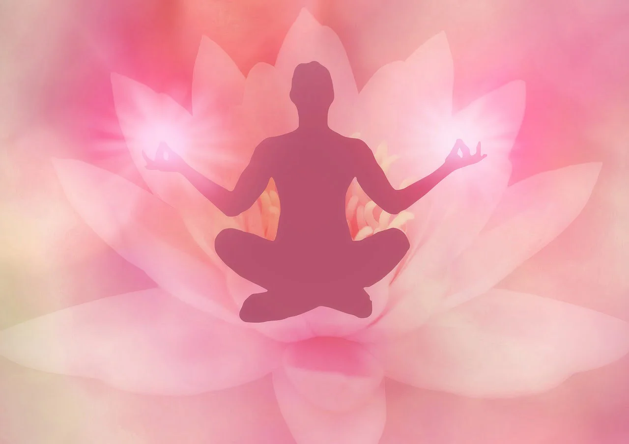 lotus, meditation, lotus position-4244658.jpg